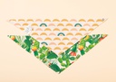 Bandanas colores