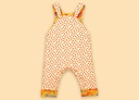 Peto reversible