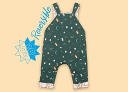Geo Overall